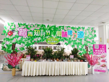 花卉盆栽展台