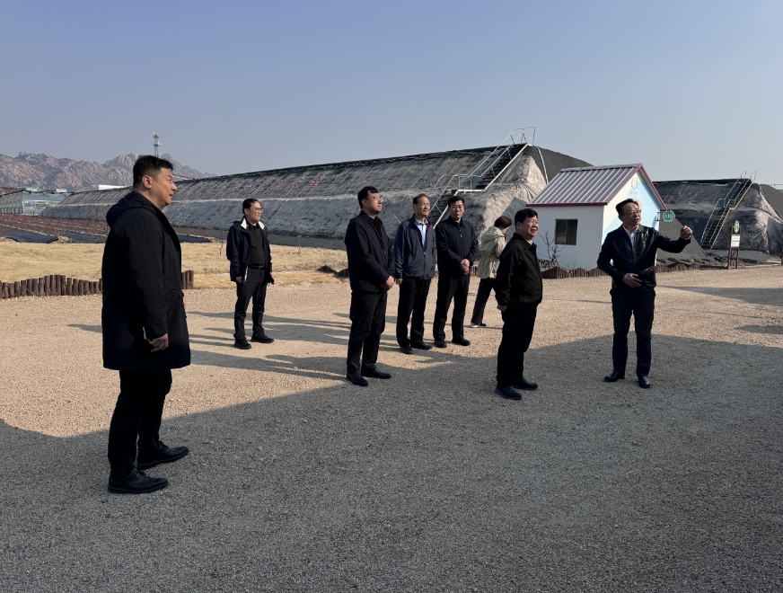 中国乡村振兴发展中心主任黄承伟一行 调研健力源青岛生态农场和供应链基地